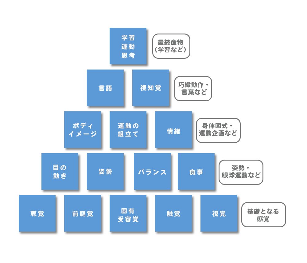 感覚統合説明ピラミッド